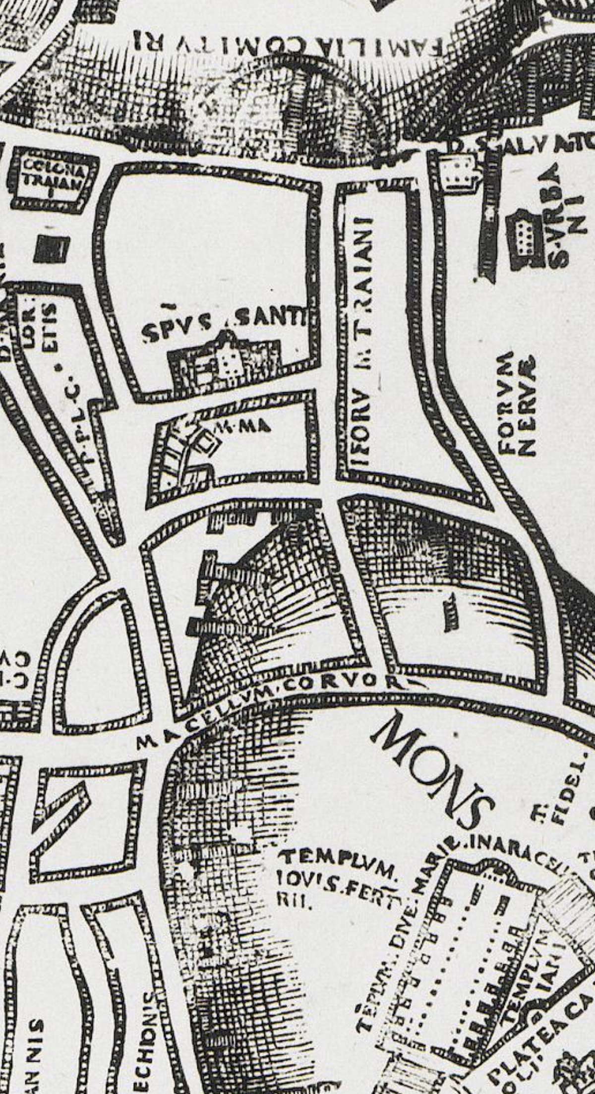 Abb. 66-MariadiCampoCarleo_003.tiff